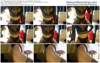 showup-_borderline___-01-06-2023-17-57-00