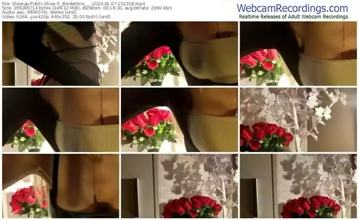 showup-_borderline___-01-07-2023-15-23-18