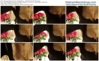 showup-_borderline___-01-07-2023-21-14-01