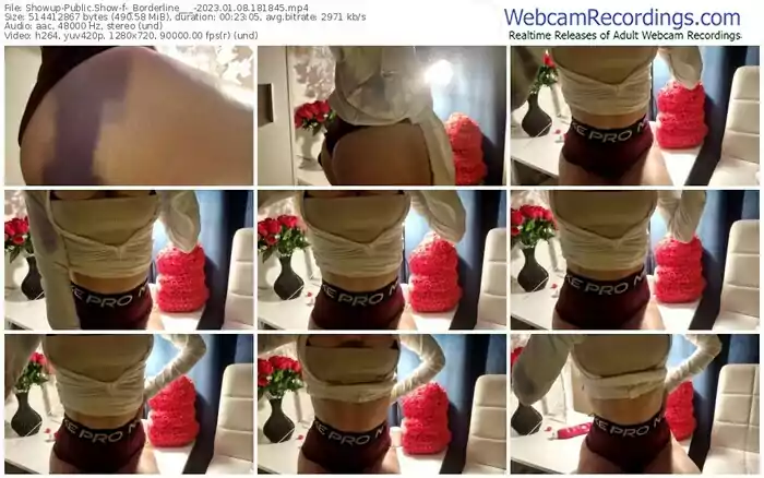 showup-_borderline___-01-08-2023-18-18-45