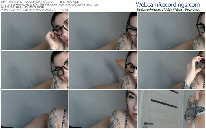 showup-_two_cat_-01-08-2023-17-09-25