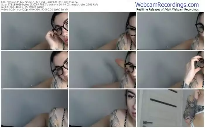 showup-_two_cat_-01-08-2023-17-09-25