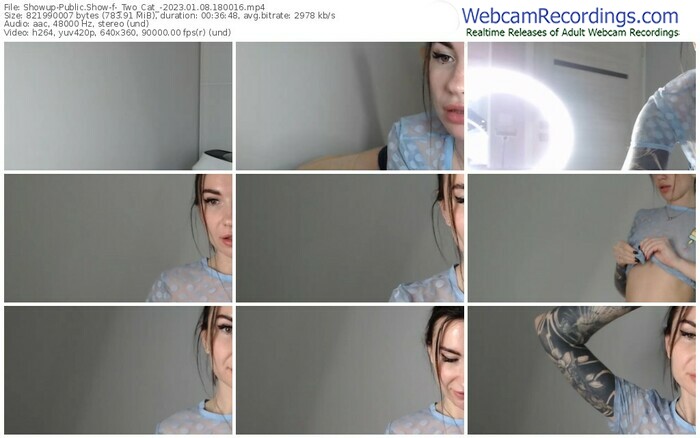 showup-_two_cat_-01-08-2023-18-00-16