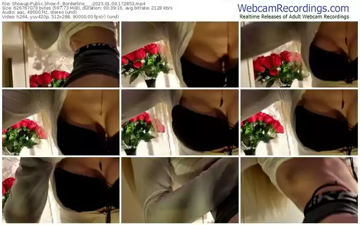 showup-_borderline___-01-09-2023-17-28-53