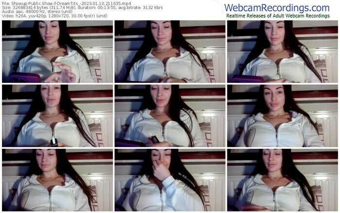 showup-dreamtits_-01-10-2023-21-16-35