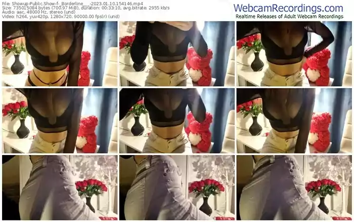 showup-_borderline___-01-10-2023-15-41-46