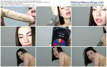 showup-_two_cat_-01-10-2023-08-45-42