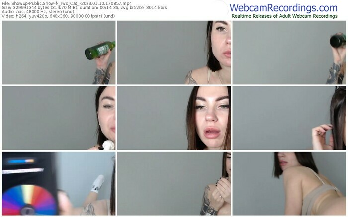 showup-_two_cat_-01-10-2023-17-08-57