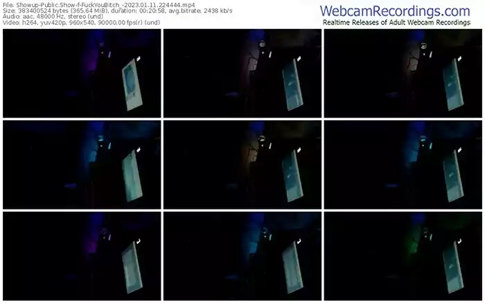 showup-fuckyoubitch_-01-11-2023-22-44-44
