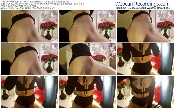 showup-_borderline___-01-13-2023-22-39-51