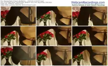 showup-_borderline___-01-13-2023-23-13-17