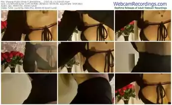 showup-_borderline___-01-13-2023-23-34-25