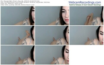 showup-_two_cat_-01-13-2023-10-17-19