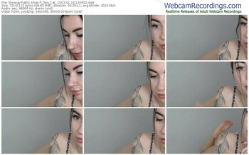 showup-_two_cat_-01-14-2023-13-09-52