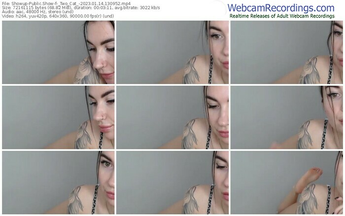 showup-_two_cat_-01-14-2023-13-09-52