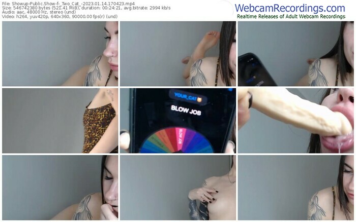 showup-_two_cat_-01-14-2023-17-04-23