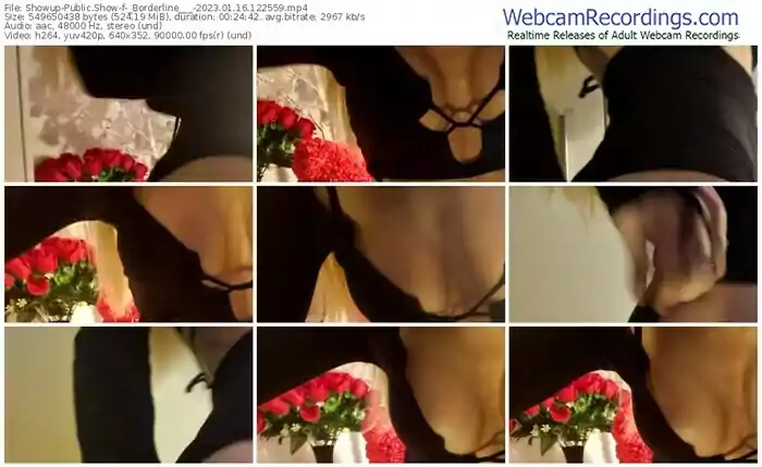 showup-_borderline___-01-16-2023-12-25-59
