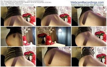 showup-_borderline___-01-16-2023-20-46-45