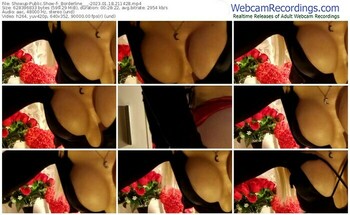 showup-_borderline___-01-18-2023-21-14-28