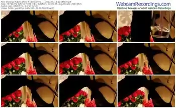 showup-_borderline___-01-18-2023-21-44-58