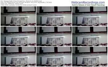 showup-dreamtits_-01-21-2023-22-46-54