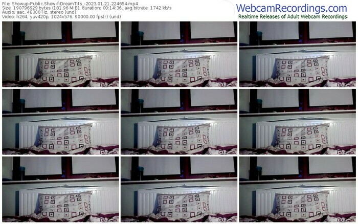 showup-dreamtits_-01-21-2023-22-46-54