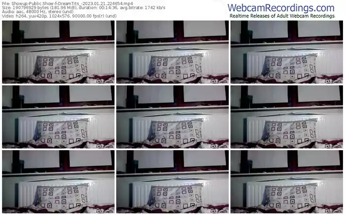 showup-dreamtits_-01-21-2023-22-46-54