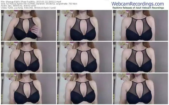 showup-subtle_-01-22-2023-20-01-11