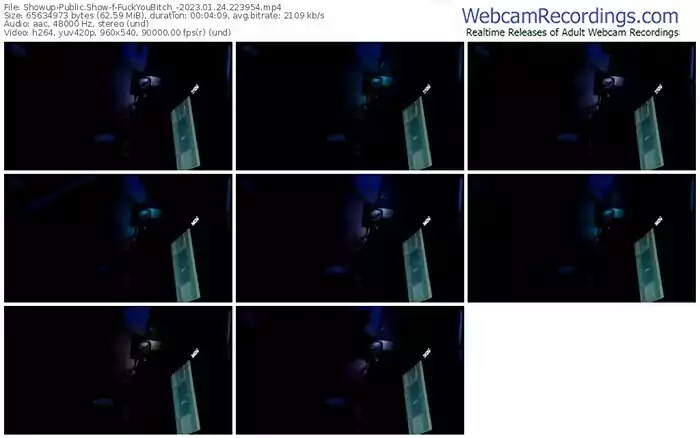showup-fuckyoubitch_-01-24-2023-22-39-54