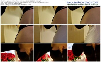 showup-_borderline___-01-28-2023-14-04-45