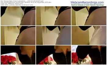 showup-_borderline___-01-28-2023-14-04-45