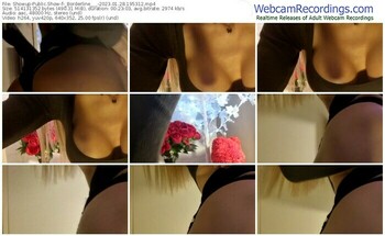 showup-_borderline___-01-28-2023-19-53-12