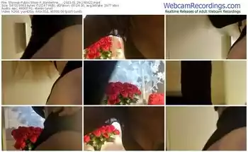 showup-_borderline___-01-29-2023-16-04-22