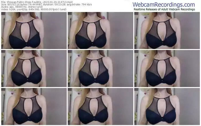 showup-subtle_-01-29-2023-21-47-13