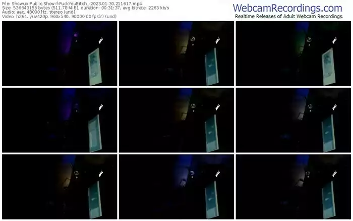 showup-fuckyoubitch_-01-30-2023-21-16-17