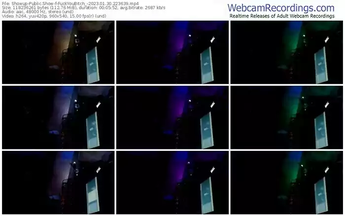 showup-fuckyoubitch_-01-30-2023-22-36-39