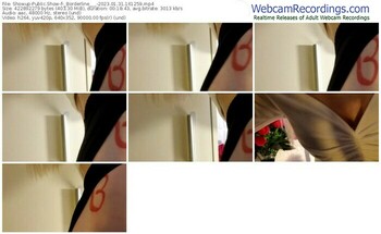 showup-_borderline___-01-31-2023-16-12-59