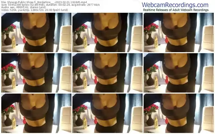 showup-_borderline___-02-01-2023-19-18-45