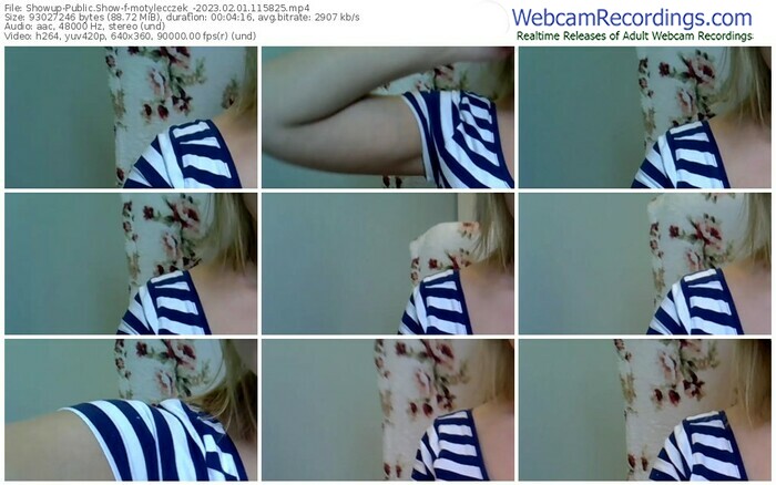 showup-motylecczek_-02-01-2023-11-58-25