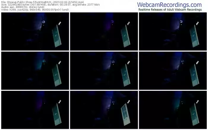 showup-fuckyoubitch_-02-02-2023-21-56-52