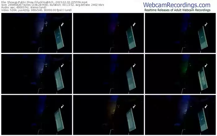 showup-fuckyoubitch_-02-02-2023-22-55-59