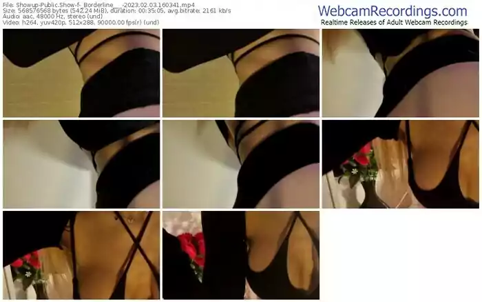 showup-_borderline___-02-03-2023-16-03-41