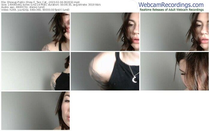 showup-_two_cat_-02-04-2023-06-26-32