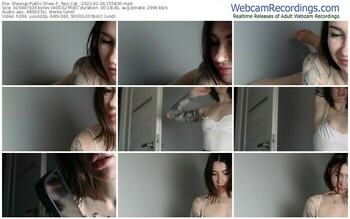 showup-_two_cat_-02-04-2023-15-58-30