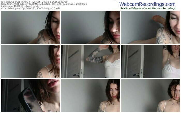 showup-_two_cat_-02-04-2023-15-58-30