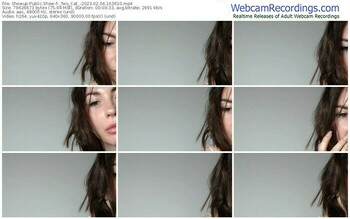 showup-_two_cat_-02-04-2023-16-36-10