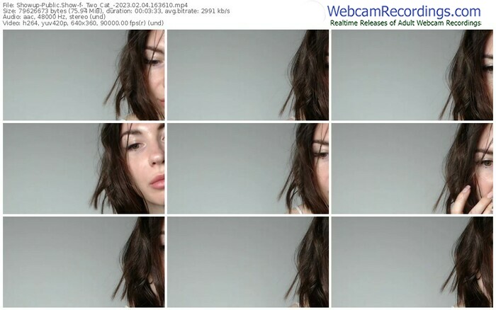 showup-_two_cat_-02-04-2023-16-36-10
