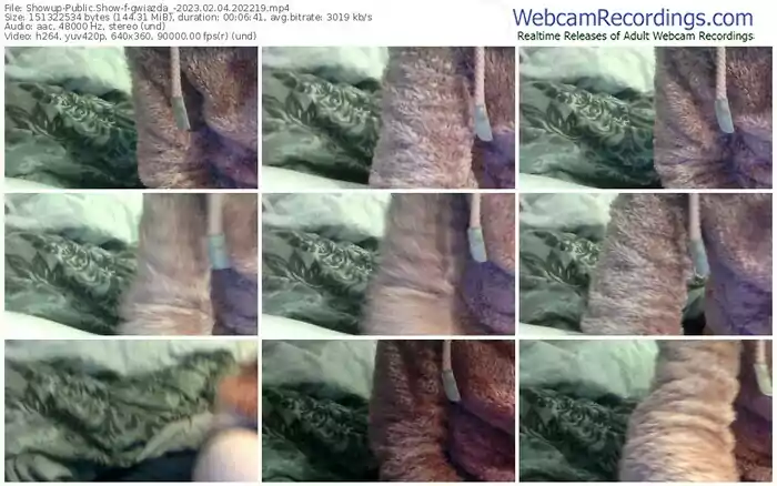 showup-gwiazda_-02-04-2023-20-22-19