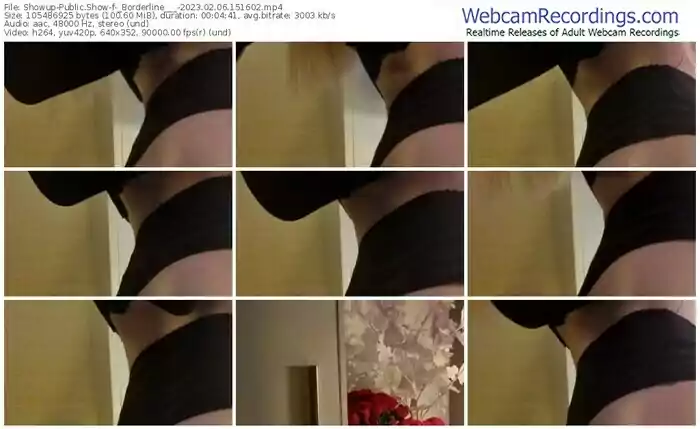 showup-_borderline___-02-06-2023-15-16-02