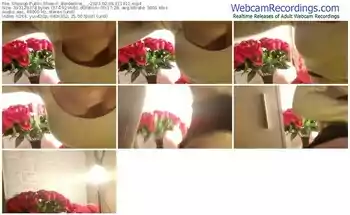 showup-_borderline___-02-08-2023-21-19-11